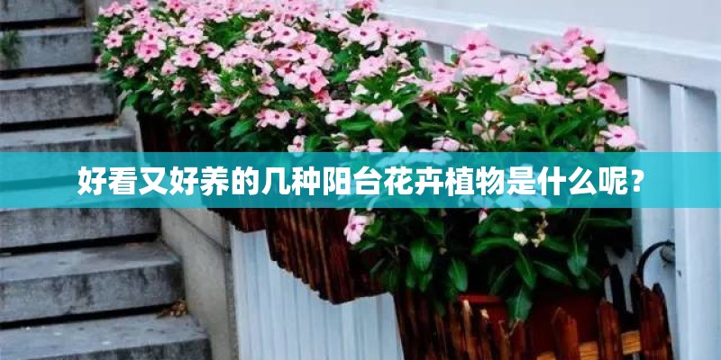 教育学