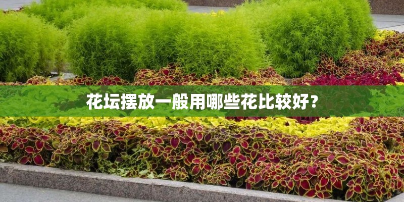 教育学