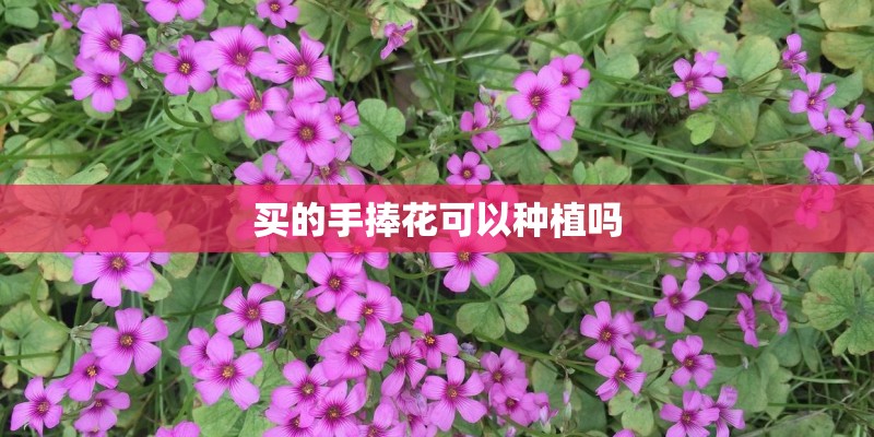 最新的054A型546号导弹护卫舰与原来的装备差别有哪些？_1