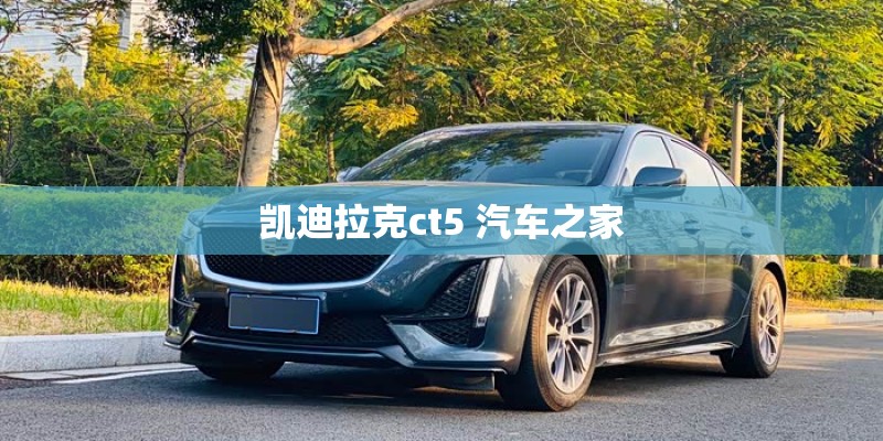 已知种子植物之“最”