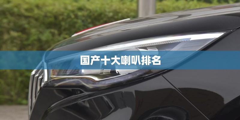 国产十大喇叭排名