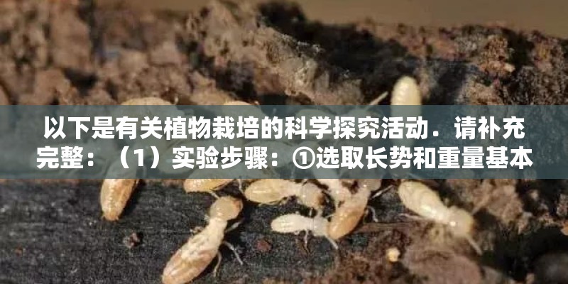 适合家里养的花和植物有哪些