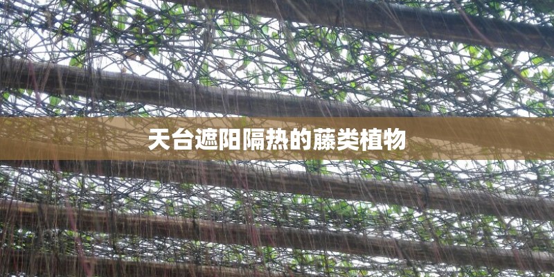 香菇的花菇是怎样形成的-