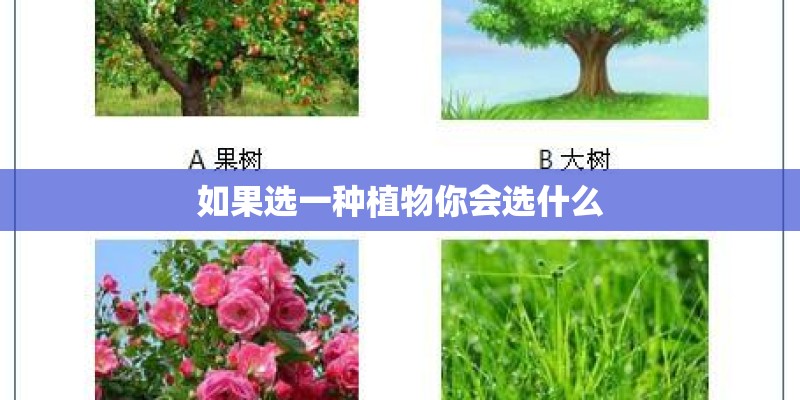 天台遮阳隔热的藤类植物