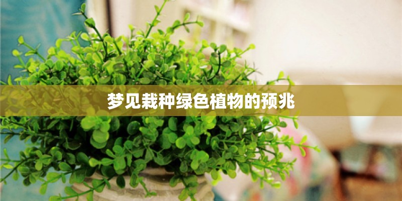 梦见栽种绿色植物的预兆
