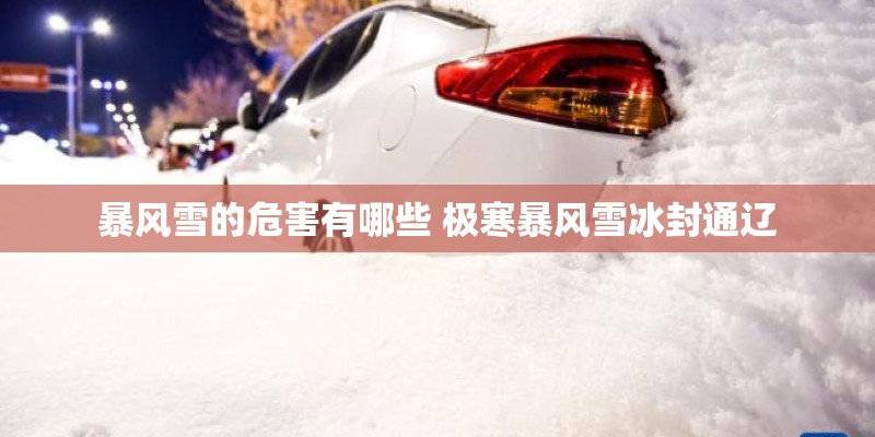 驴耳朵的模样和用途