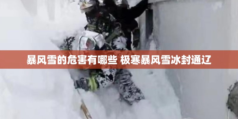 暴风雪的危害有哪些 极寒暴风雪冰封通辽
