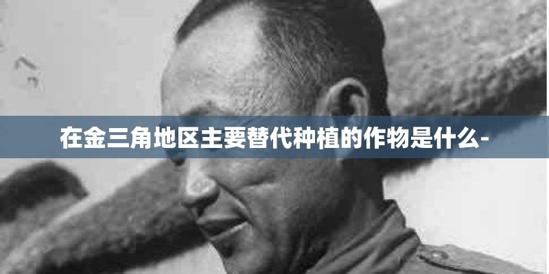 在金三角地区主要替代种植的作物是什么-