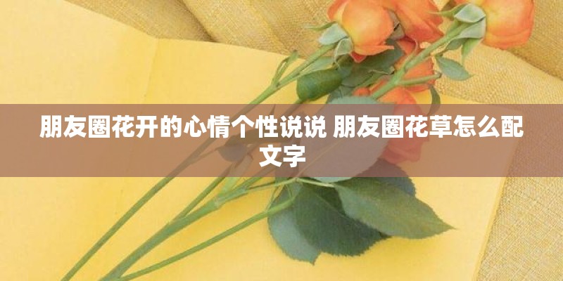 朋友圈花开的心情个性说说 朋友圈花草怎么配文字