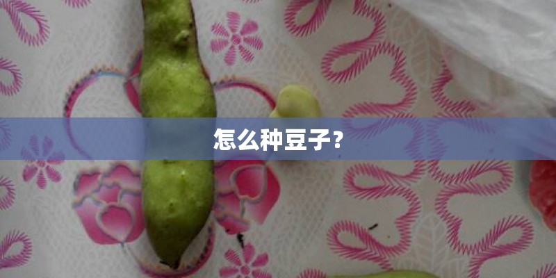 种在水里的花有哪些（最适合水培的花卉介绍）