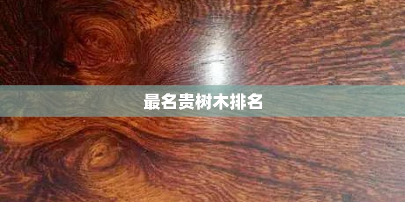 房产市场营销策划的主要内容是什么？