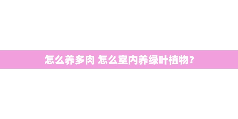 适合小学生摘抄的新闻有哪些？