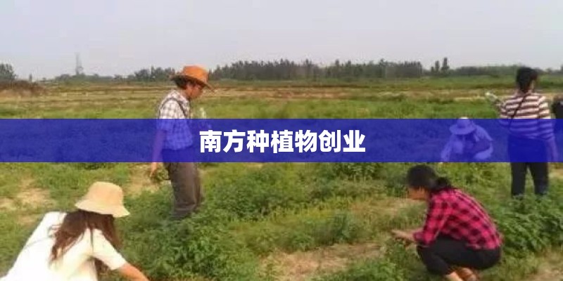南方种植物创业
