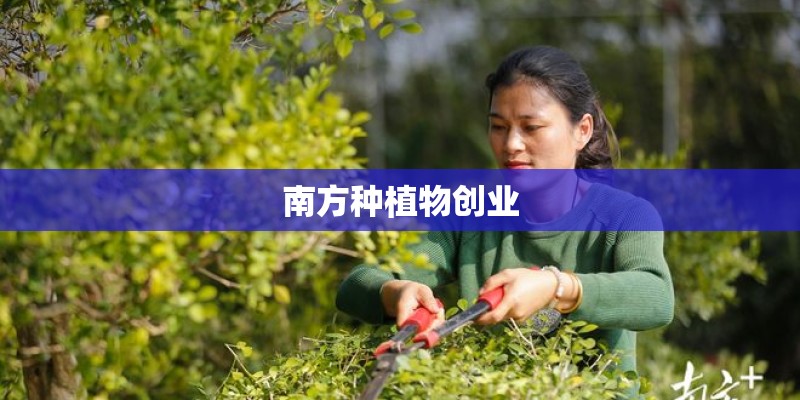 南方种植物创业