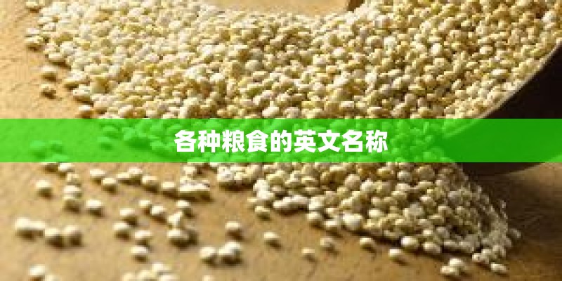 各种粮食的英文名称