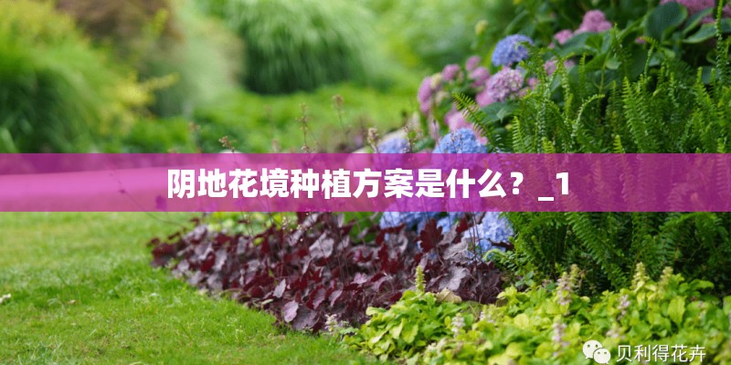 适合小学生摘抄的新闻有哪些？
