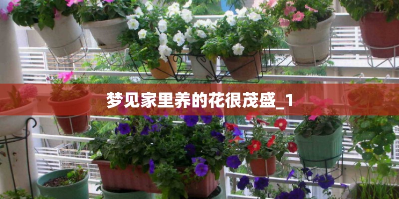 梦见家里养的花很茂盛_1