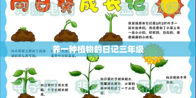 养一种植物的日记三年级