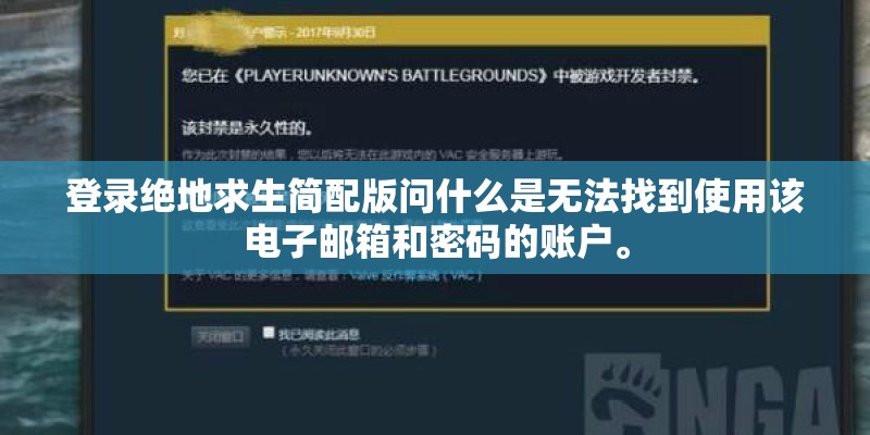 登录绝地求生简配版问什么是无法找到使用该电子邮箱和密码的账户。