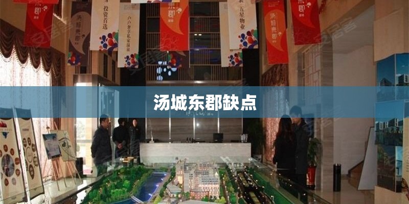 汤城东郡缺点