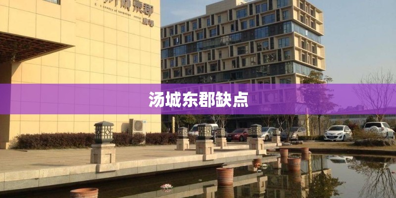 汤城东郡缺点