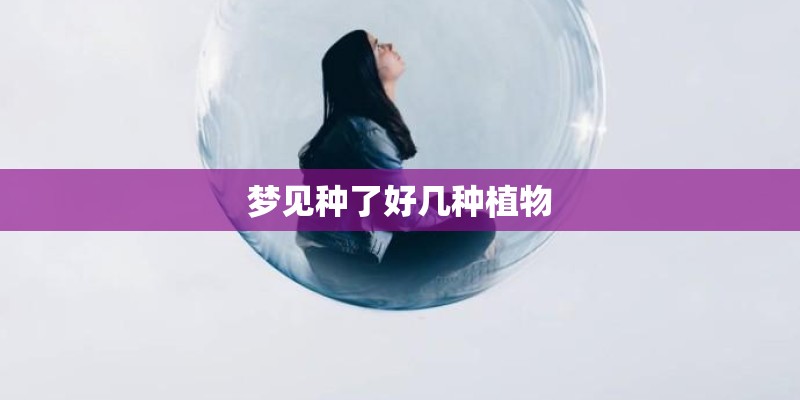 梦见种了好几种植物