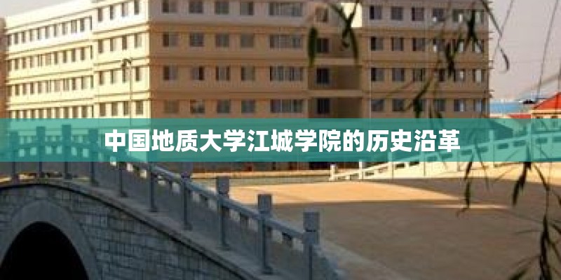 适合在楼顶种的耐高温植物