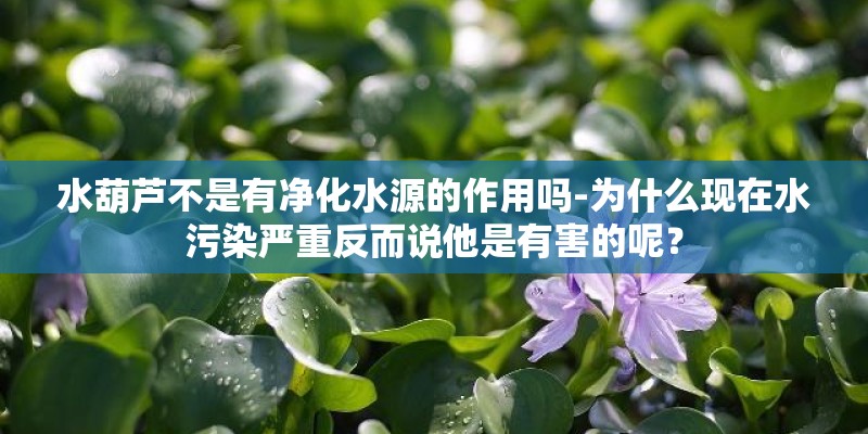 牙膏瓶子能种植什么花