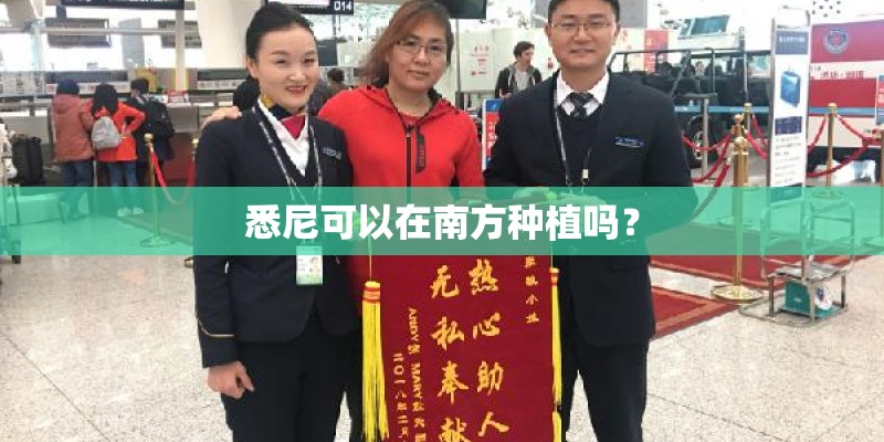 悉尼可以在南方种植吗？