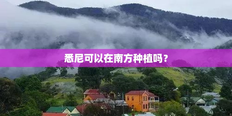 悉尼可以在南方种植吗？