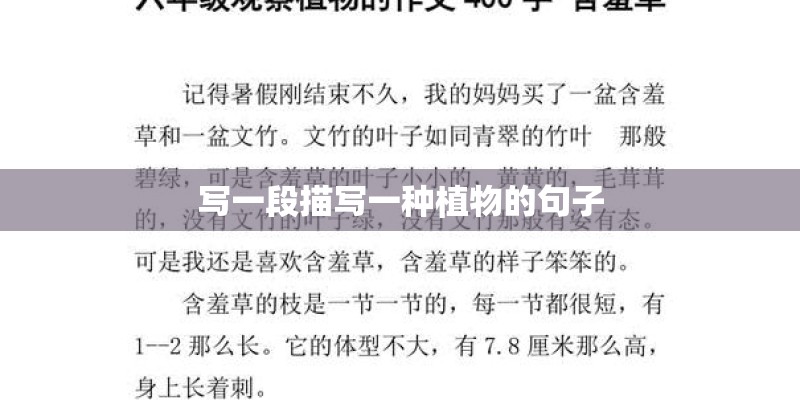科普 - 花生是营养宝库 这样吃抗氧化物双倍