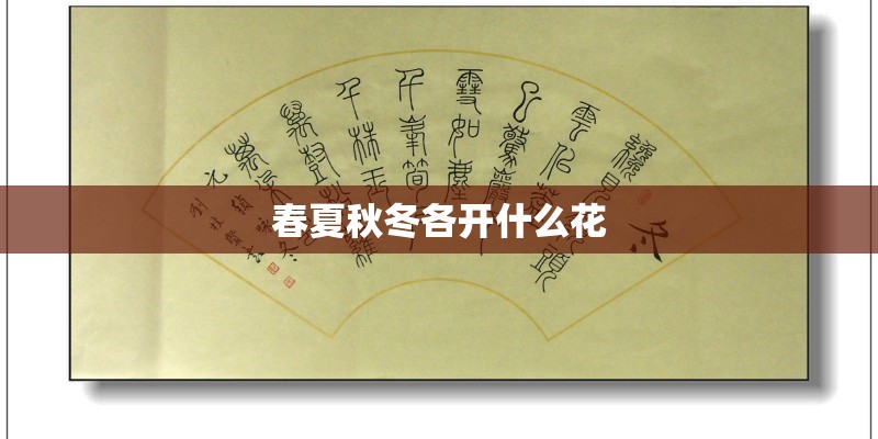 春夏秋冬各开什么花