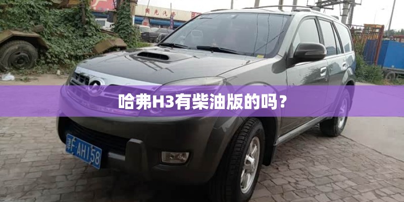 哈弗H3有柴油版的吗？