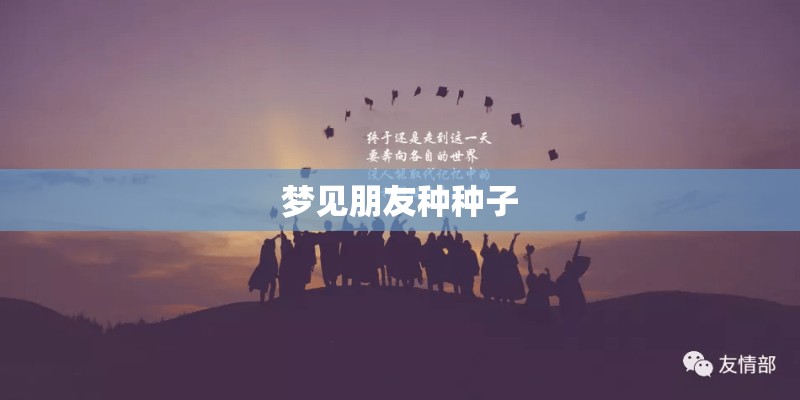 梦见朋友种种子