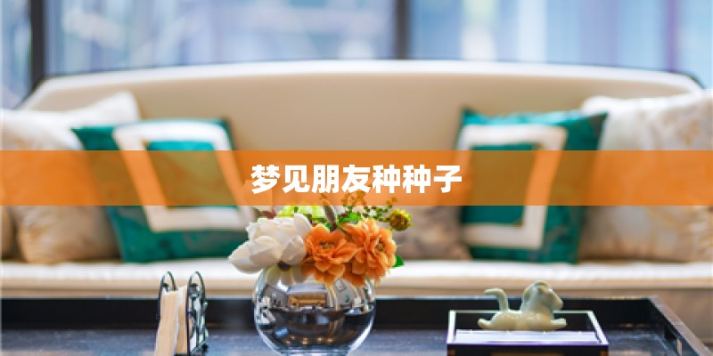 梦见朋友种种子
