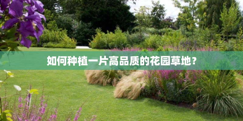 梦见朋友种种子