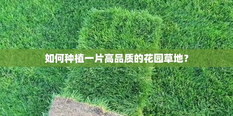 如何种植一片高品质的花园草地？