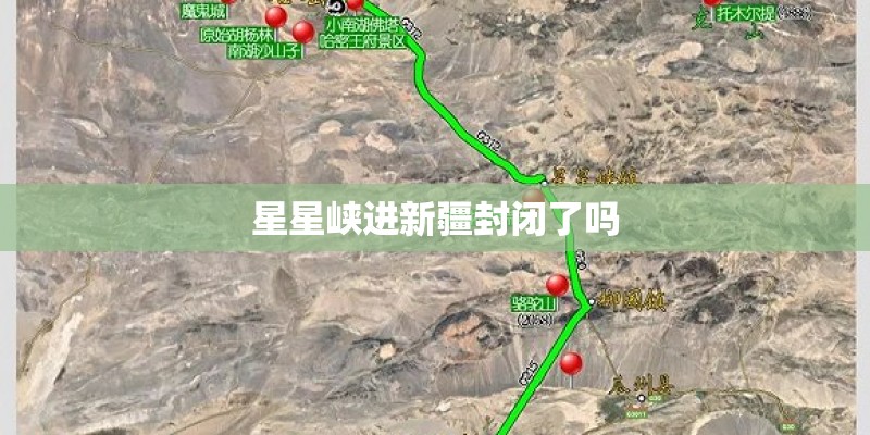 梦见朋友种种子