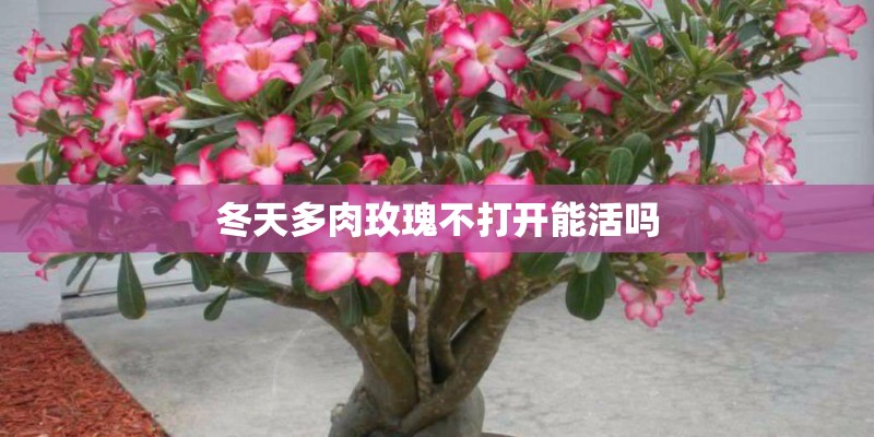 上海有哪些高文化浓度的不回头citywalk路线？