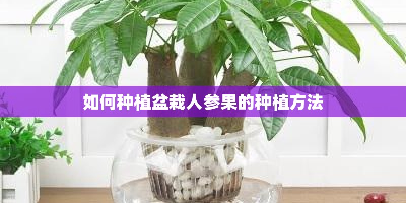 国家保护植物有哪些？