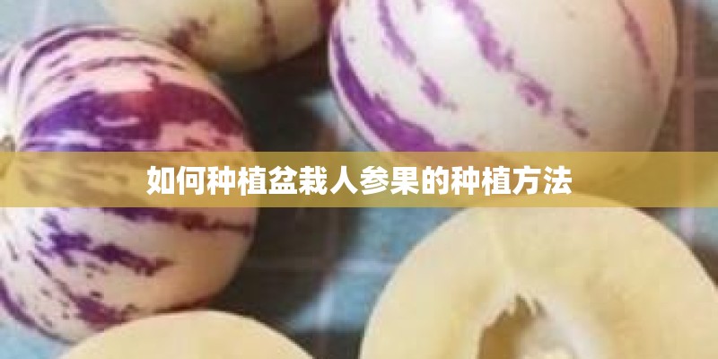 如何种植盆栽人参果的种植方法