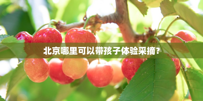 安徽省属于低风险地区吗