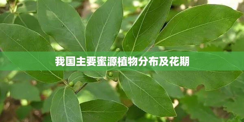 我国主要蜜源植物分布及花期