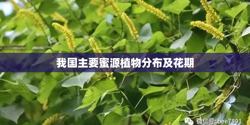 我国主要蜜源植物分布及花期