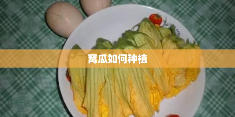 不给槟榔树钱,就砍人家的槟榔违法吗-