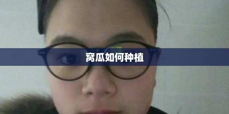 窝瓜如何种植