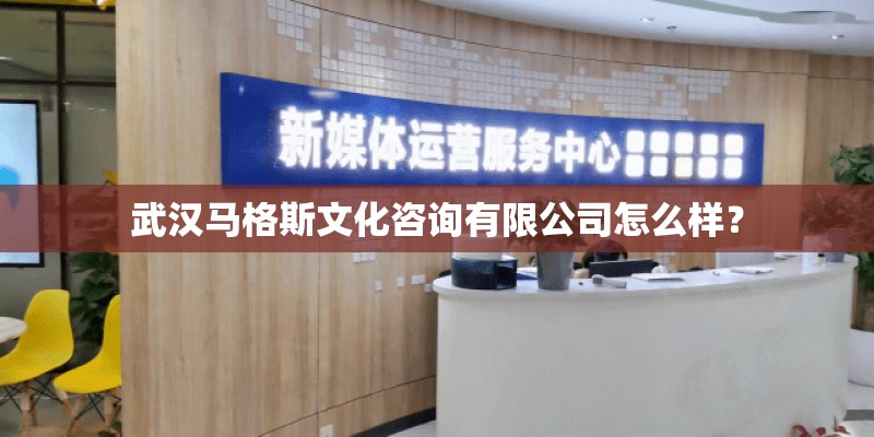 武汉马格斯文化咨询有限公司怎么样？