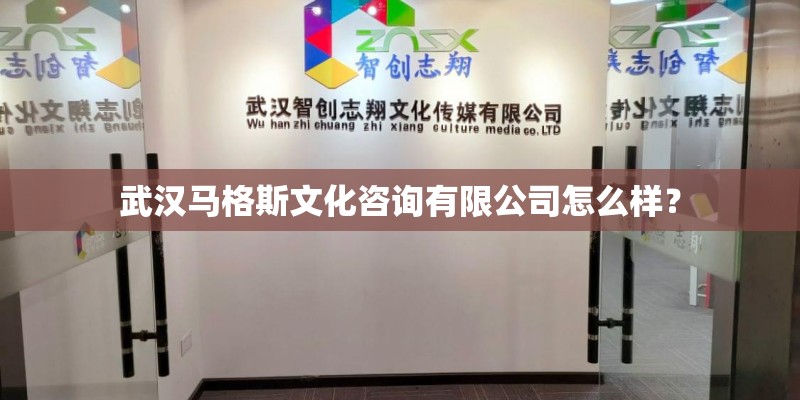武汉马格斯文化咨询有限公司怎么样？