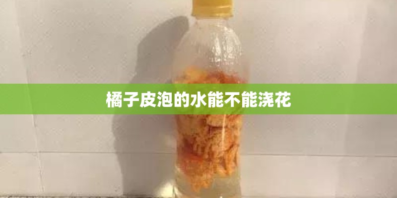 不给槟榔树钱,就砍人家的槟榔违法吗-