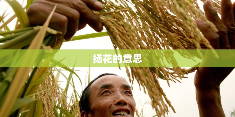 彩铅（3）让人垂涎欲滴的车厘子